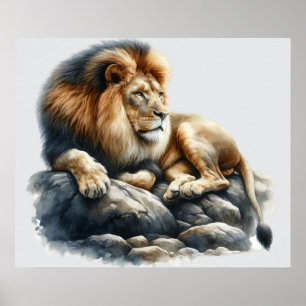 Poster Leão Regal Africano Descansado em Rocha - Cores d'