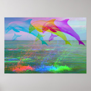 Poster Leaping dolphins rainbow