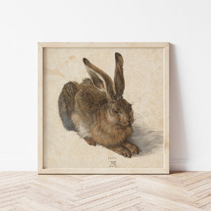 Poster Lebre   Albrecht Dürer
