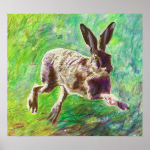 Poster Lebre alegre 2011