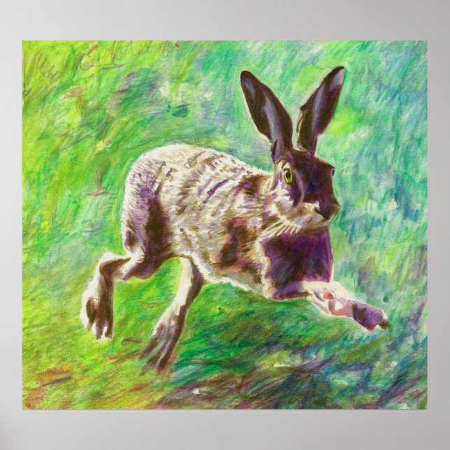 Poster Lebre alegre 2011 (Frente)