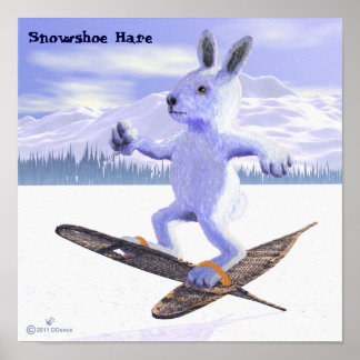 Poster Lebre-de-neve