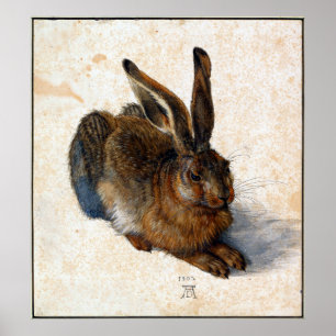 Pôster Lebre dos jovens de Albrecht Durer
