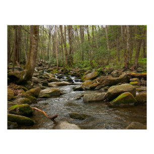 Pôster LeConte Creek em Great Smoky Mountains