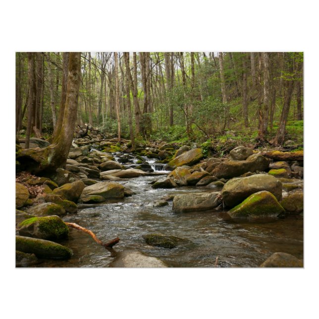 Pôster LeConte Creek em Great Smoky Mountains (Frente)