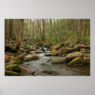 Poster LeConte Creek nas Montanhas do Enfumaçado do Exce