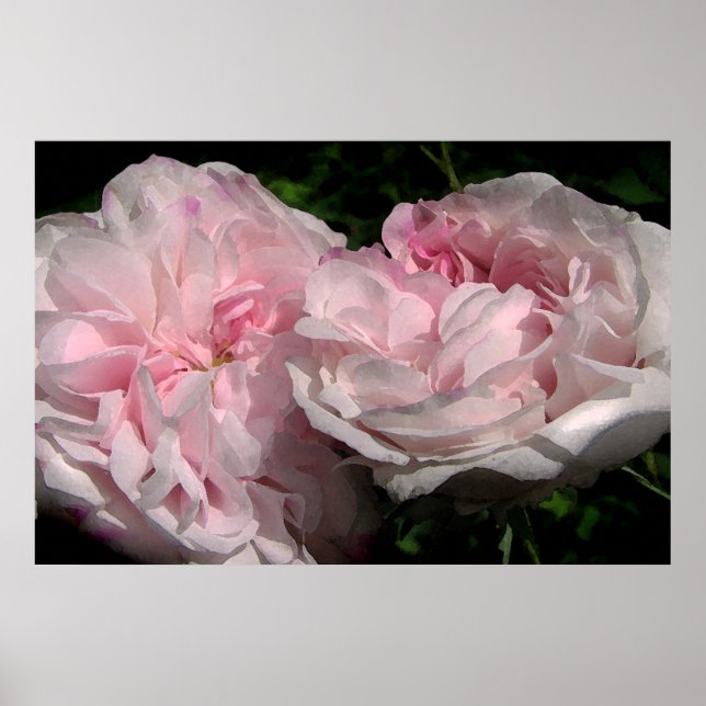 Pôster Leda (Frente)