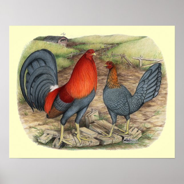 Pôster Leds Azuis do Jogo Americano (Frente)