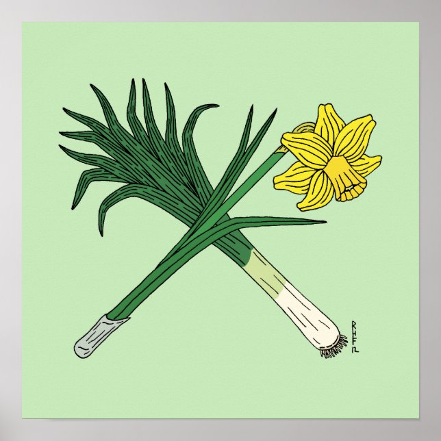 Pôster Leek e Daffodil cruzados (Frente)