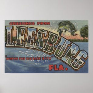 Pôster Leesburg, Florida - grandes cenas da letra