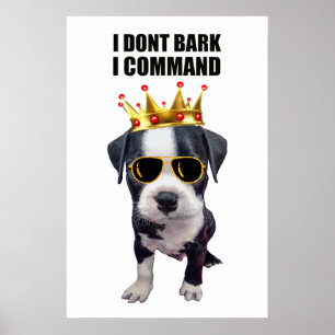Poster Legal cão bebê com frase engraçada no topo