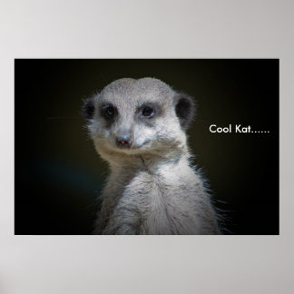 Poster Legal Kat......