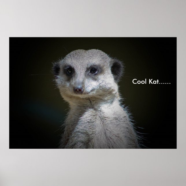 Poster Legal Kat...... (Frente)