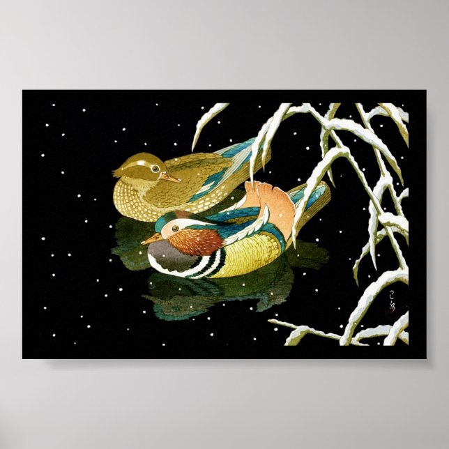 Pôster Legal lagoa negra de pato mandarina do japonês (Frente)