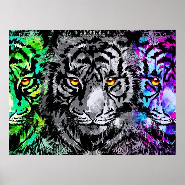 Poster Legal Tiger Trabalho de arte - Wildlife Big Cats - (Frente)