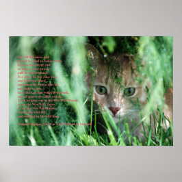 Pôster Legenda da selva