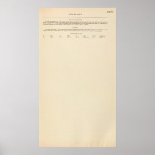 Pôster Legenda física 16263 de Oceania