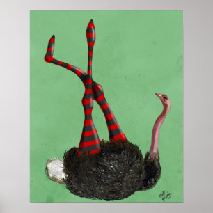 Pôster Leggings em tiras de avestruz