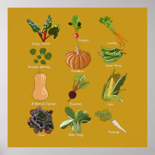 Poster Legumes de Outono Colheita de Legumes de Outono
