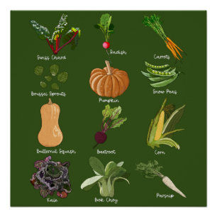 Pôster Legumes de Outono Colheita de Legumes de Outono