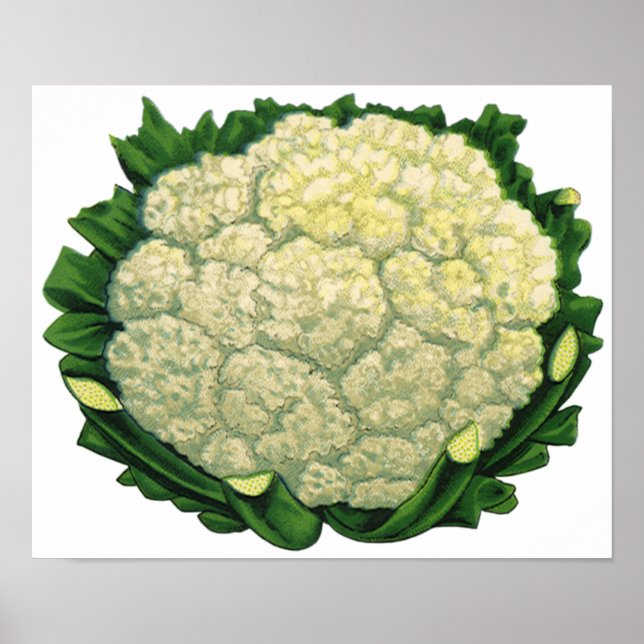Pôster Legumes Vegetais Couve-Flor Comida Antiga (Frente)