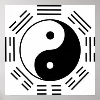 Poster Lei de Atração Yin Yang