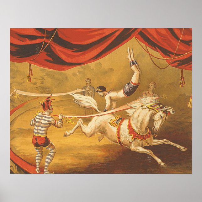 Pôster Lei relativa ao Circus do TEE (Frente)