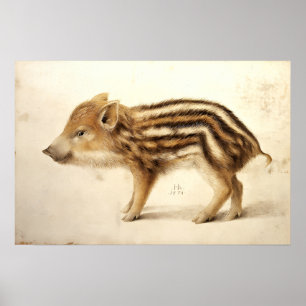 Pôster LEITÃO DE JAVALI / Desenhos de Animais
