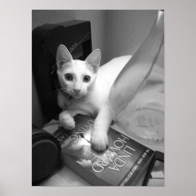 Pôster Leitura (Frente)