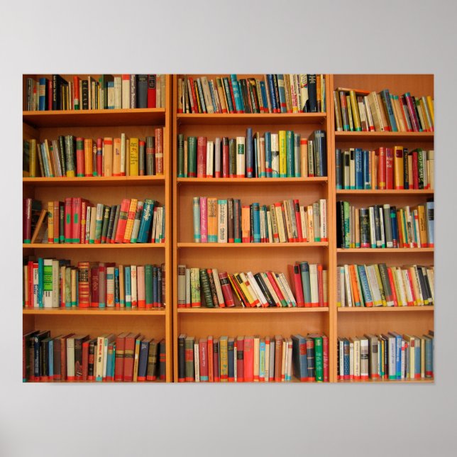 Poster Leitura do worm da biblioteca de livros da estante (Frente)