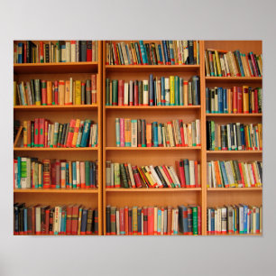 Pôster Leitura do worm da biblioteca de livros da estante