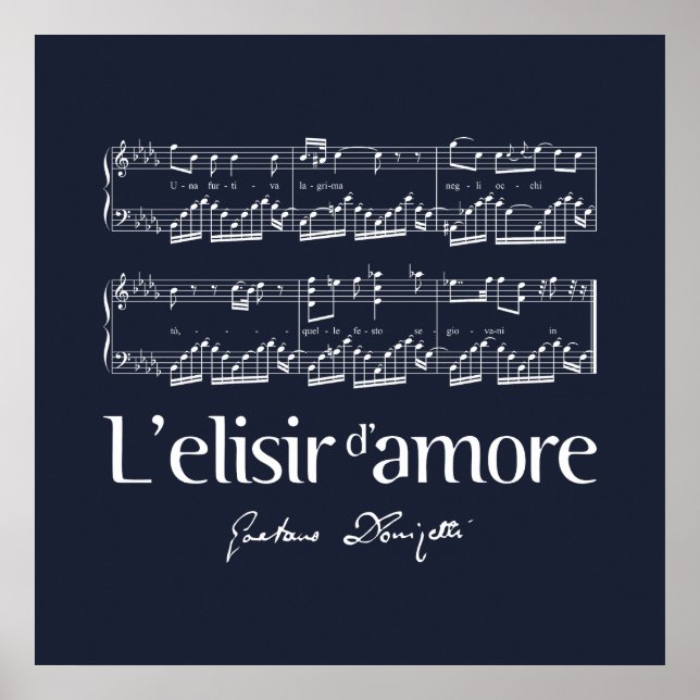 Poster L'elisir d'amore 2 (Frente)
