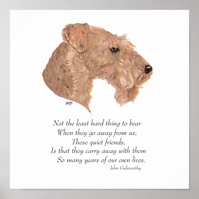 Poster Lembrança da Ponte do Arco-íris (Frente)