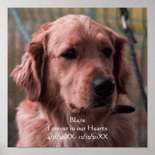 Poster Lembrança Personalizada de Memorial de Animal de E