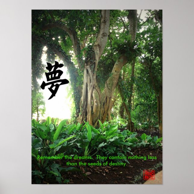 Pôster Lembre-se dos sonhos. ... (Frente)