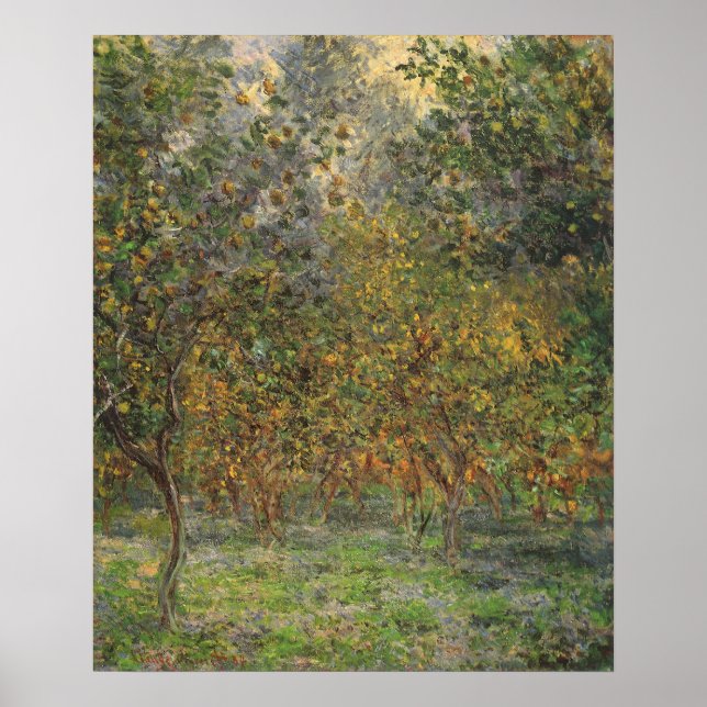 Poster Lemon Grove em Bordighera por Claude Monet (Frente)