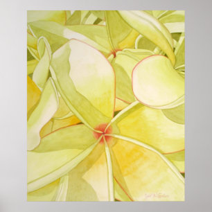 Poster Lemon Yellow Frangipani