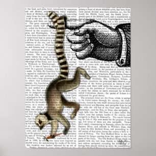 Pôster Lemur atado anel no dedo