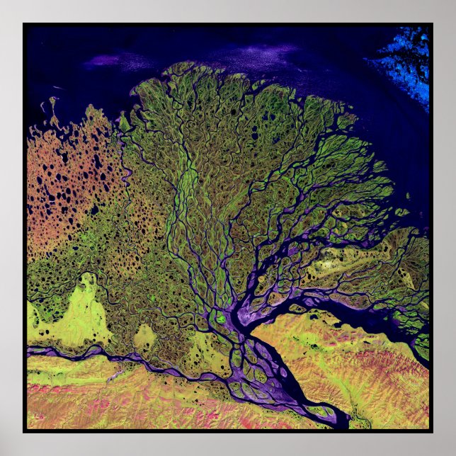 Pôster Lena Delta Russia (Frente)