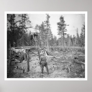 Pôster Lenhador em Alaska 1916