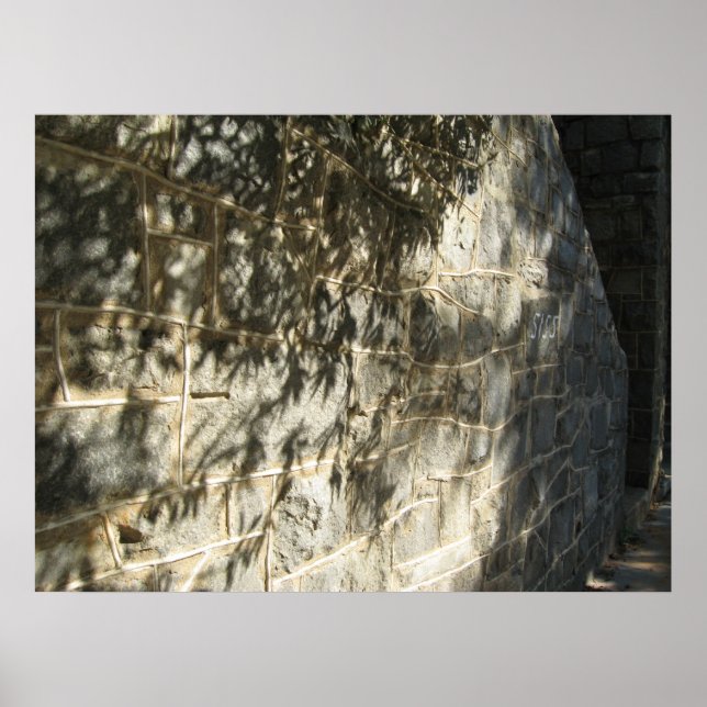 Poster lente de almoço (Frente)