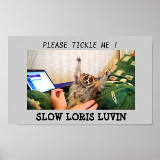 Pôster Lento Loris Luvin