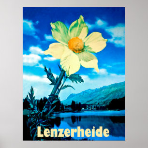 Poster Lenzerheide, Suiça, flor de verão no lago