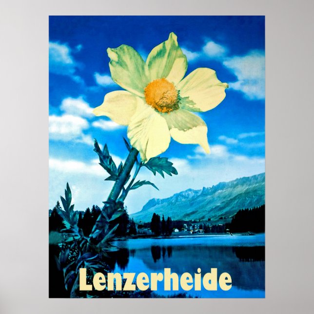 Poster Lenzerheide, Suiça, flor de verão no lago (Frente)