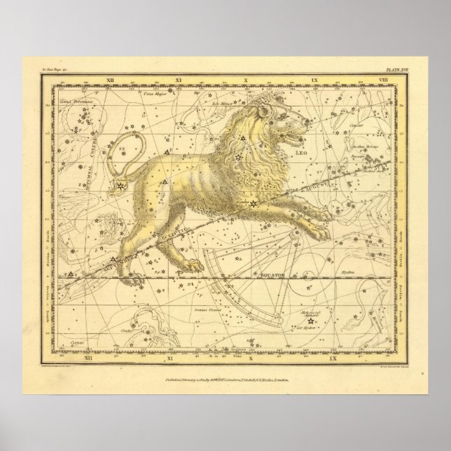 Pôster Leo (Frente)