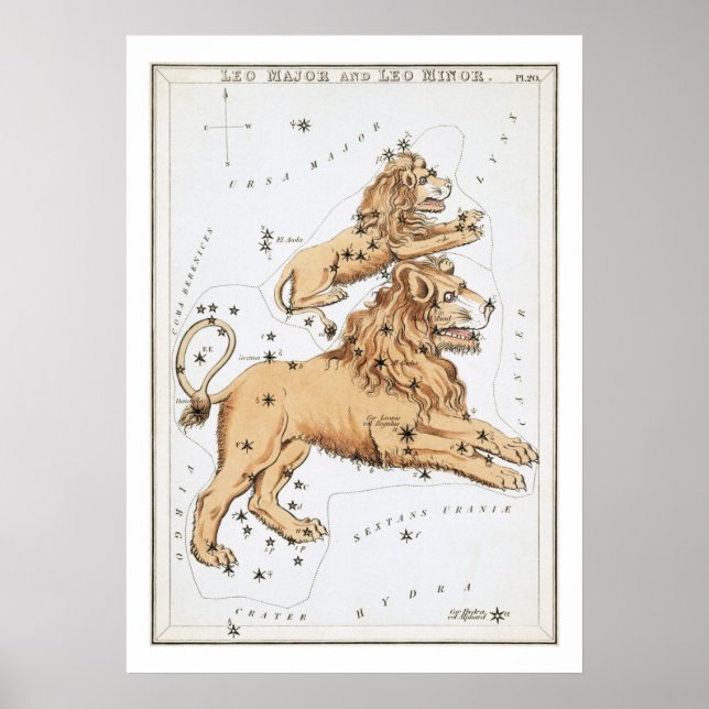 Poster Leo Astrology Zodiac (Frente)