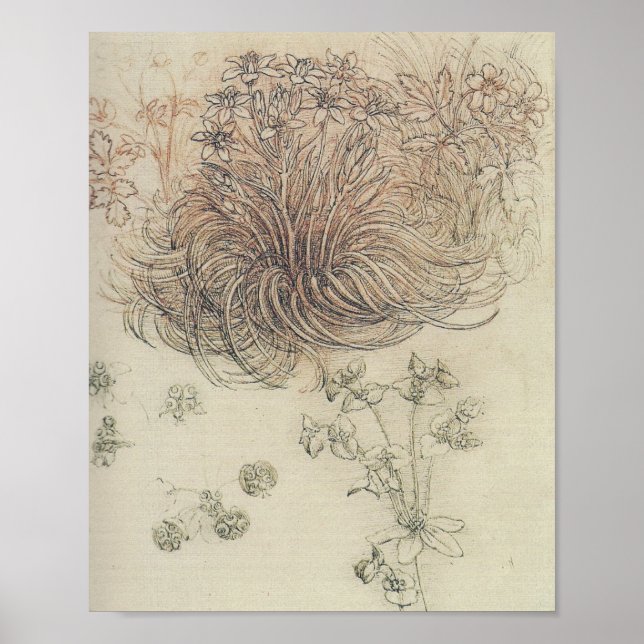 Poster Leonardo Botânico (Frente)