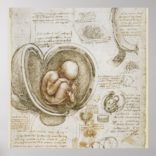 Poster Leonardo da Vinci