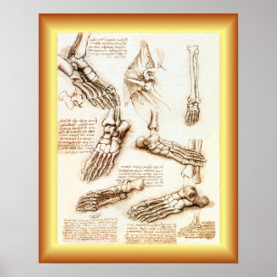 Poster Leonardo da Vinci ~ Anatomia dos Pés ~
