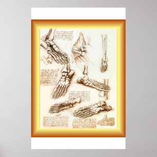 Poster Leonardo da Vinci ~ Anatomia dos Pés ~ 40 X 60 GRA